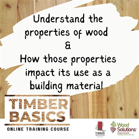 Timber Basics .